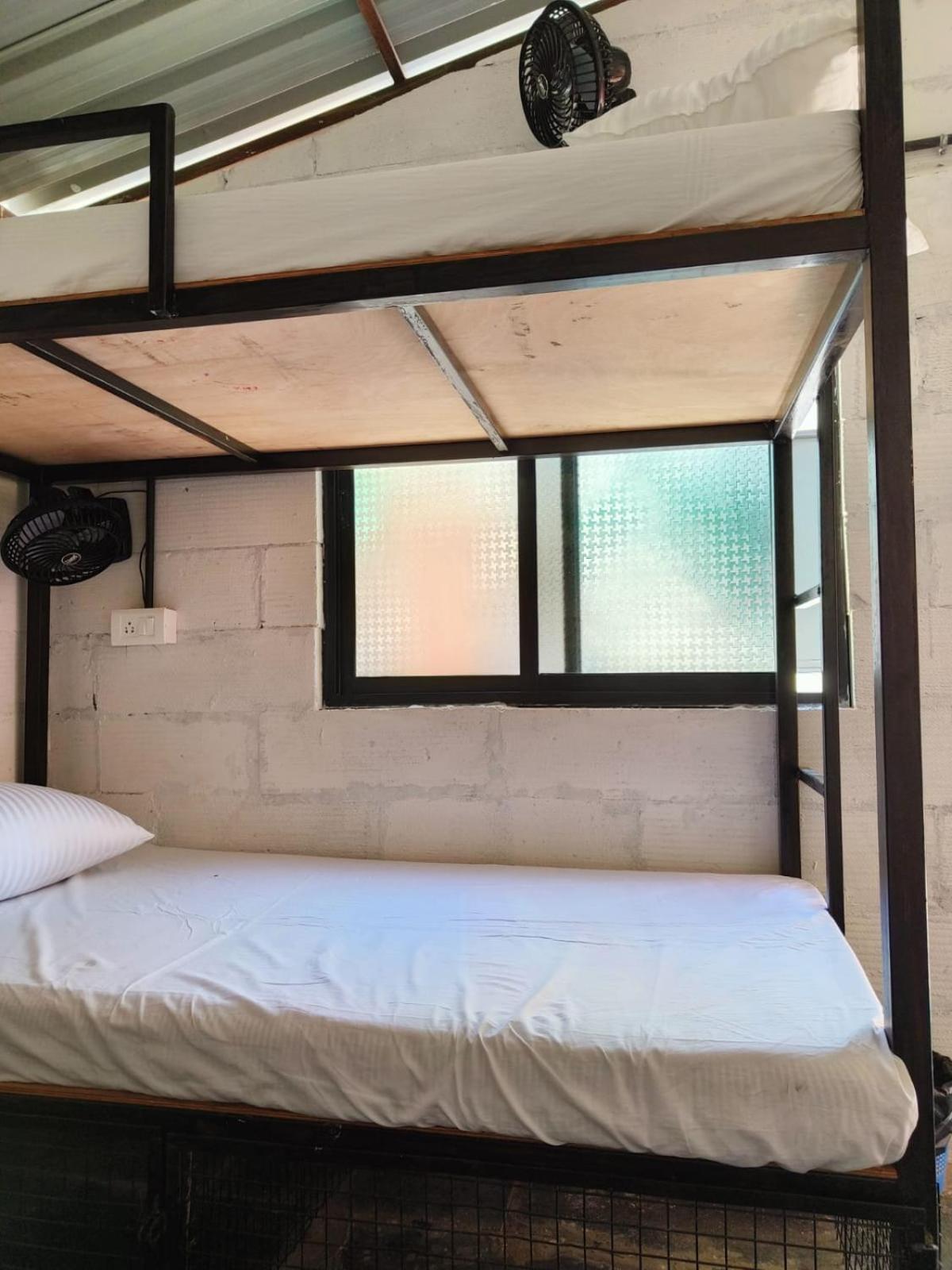 12 Monks - Beachside Hostel Arambol Dış mekan fotoğraf
