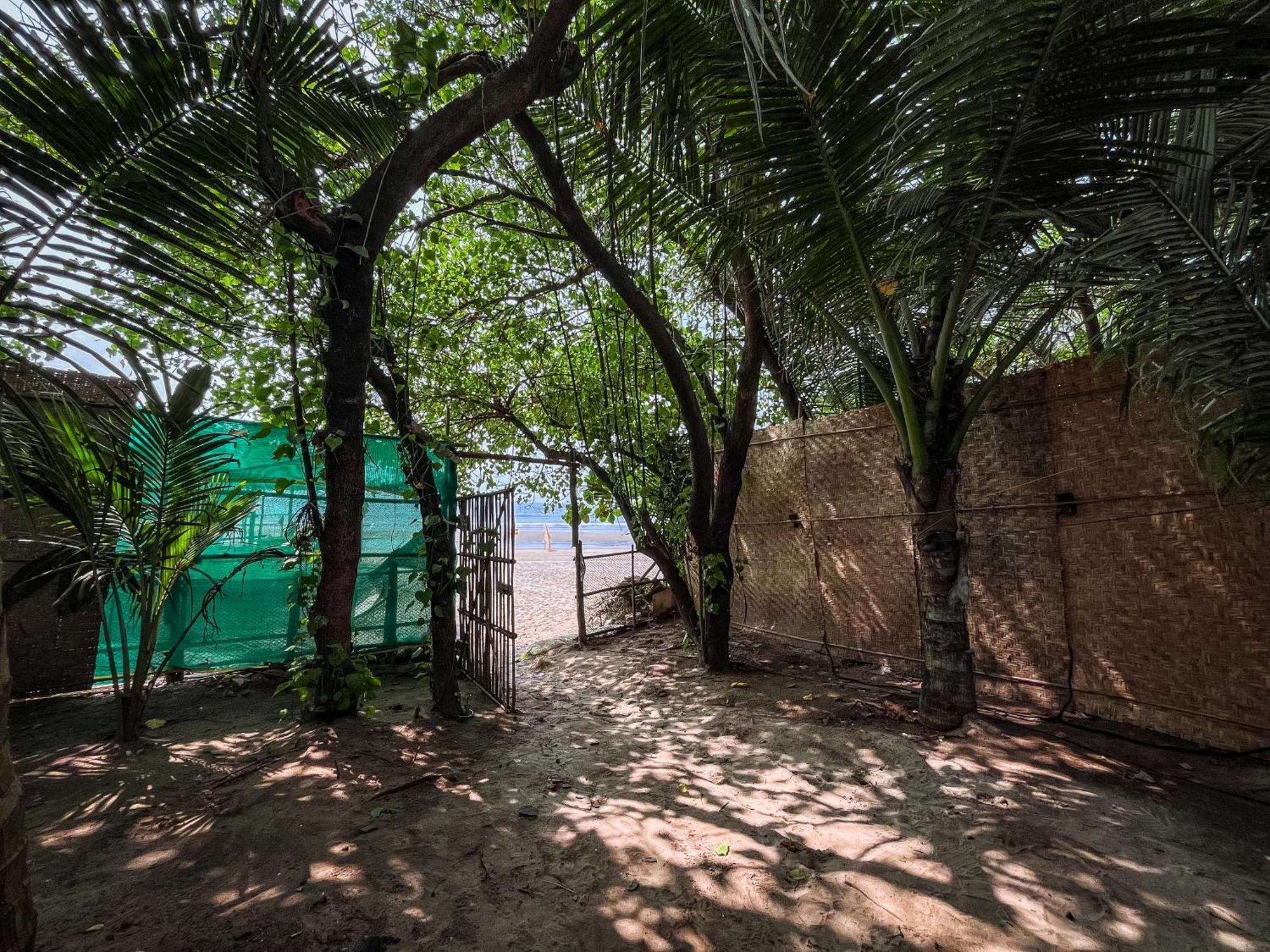 12 Monks - Beachside Hostel Arambol Dış mekan fotoğraf
